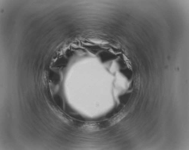 X0000080710280200701051017