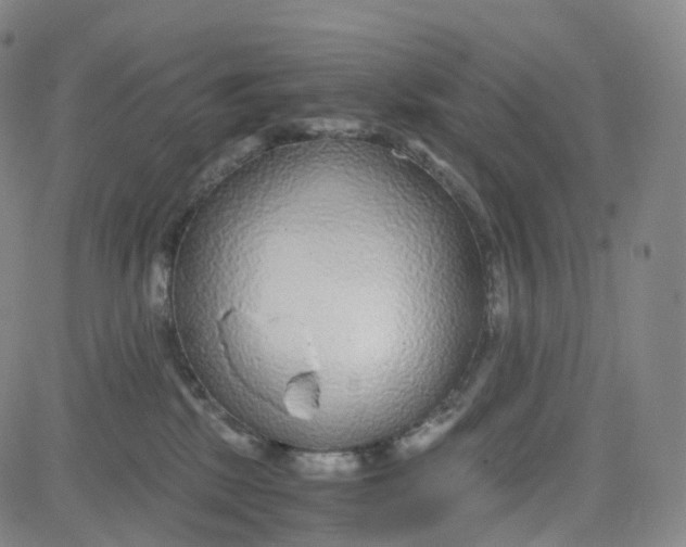 X0000080710281200701051017