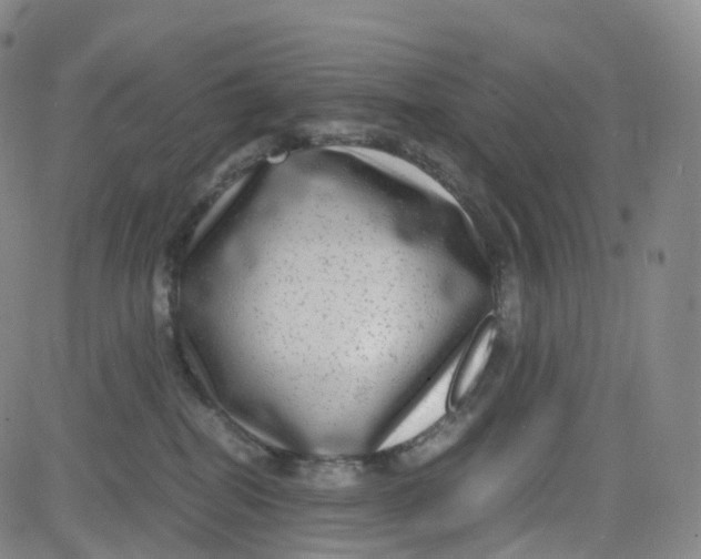 X0000080710282200701051017