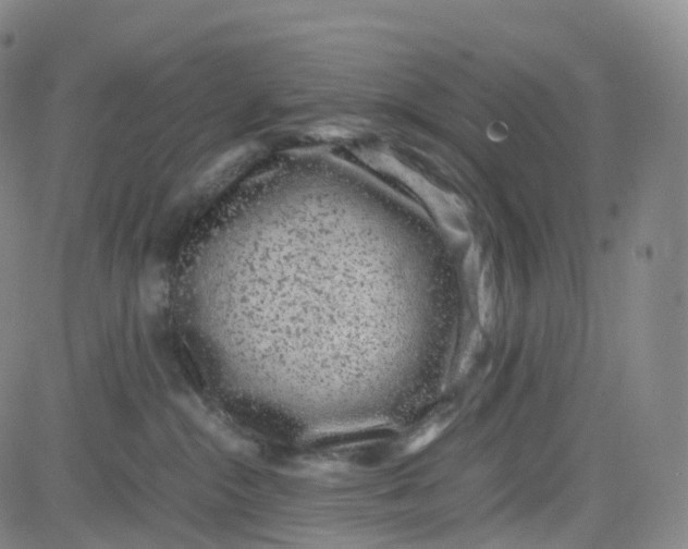 X0000080710284200701051017