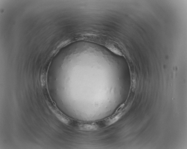 X0000080710285200701051017