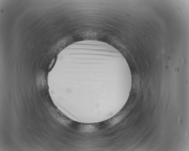 X0000080710287200701051017