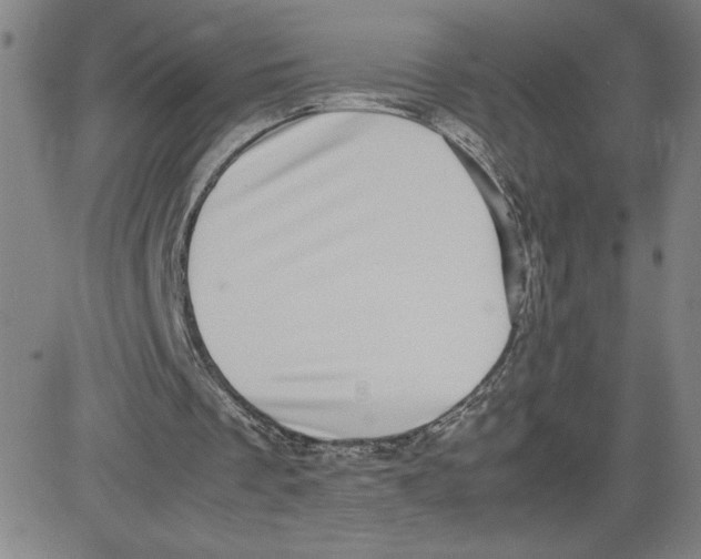 X0000080710289200701051016