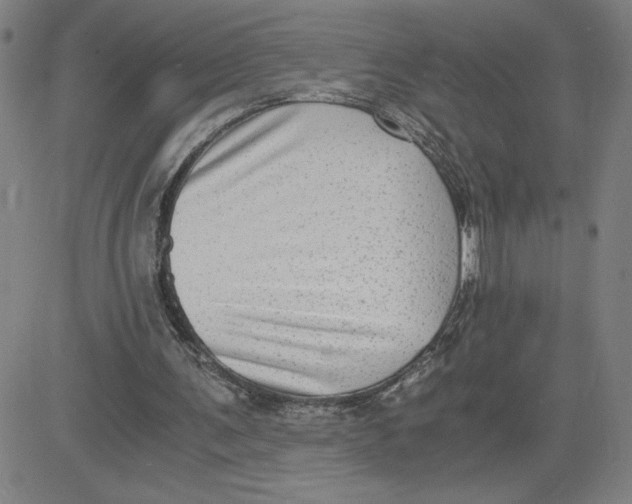 X0000080710291200701051016