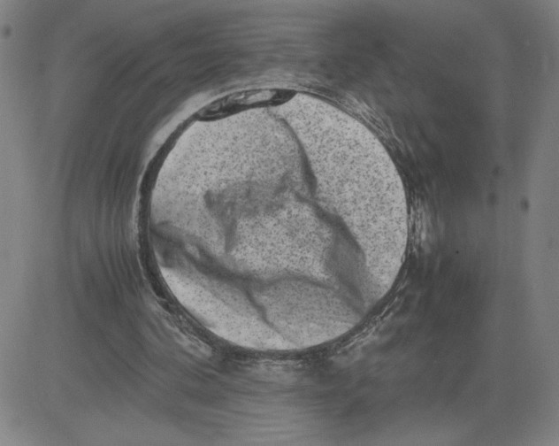 X0000080710292200701051016