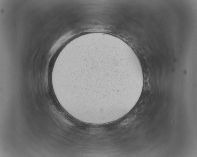 X0000080710296200701051016