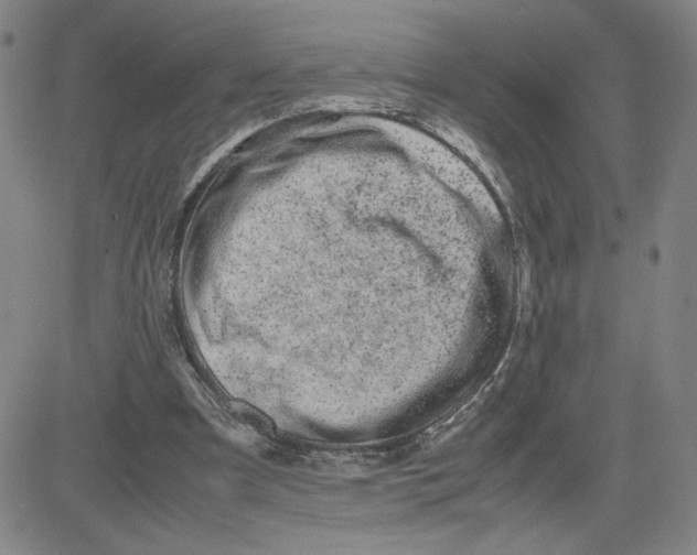 X0000080710297200701051016