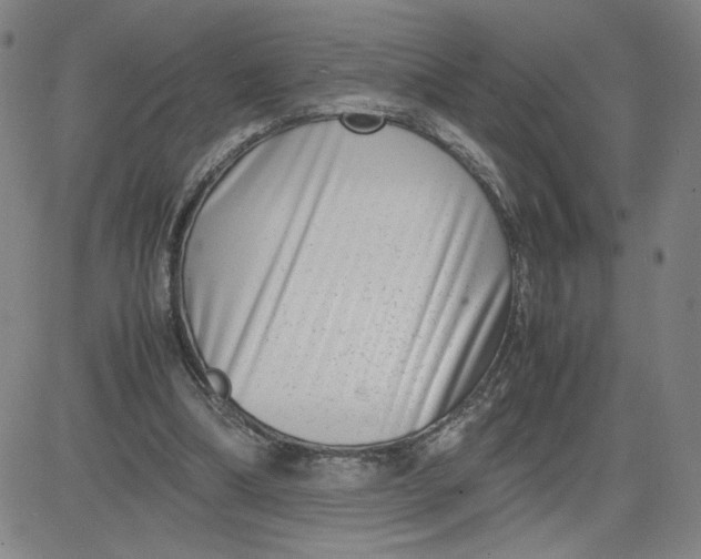 X0000080710298200701051016