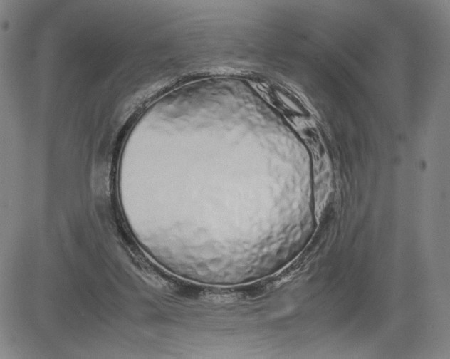 X0000080710299200701051016