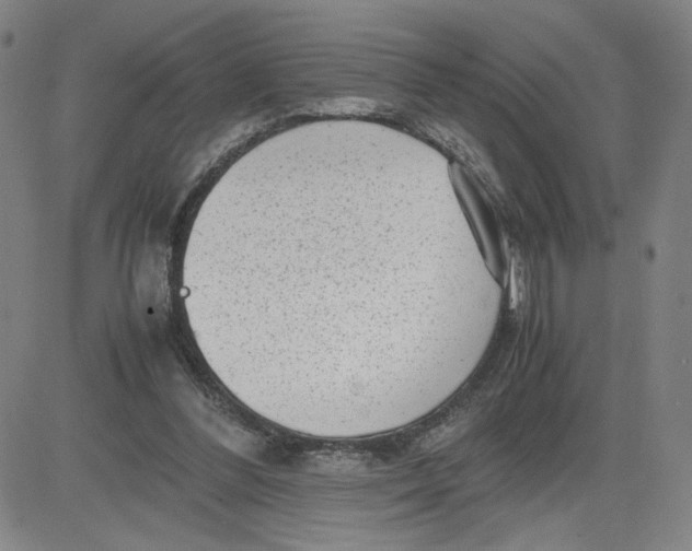 X0000080710300200701051016