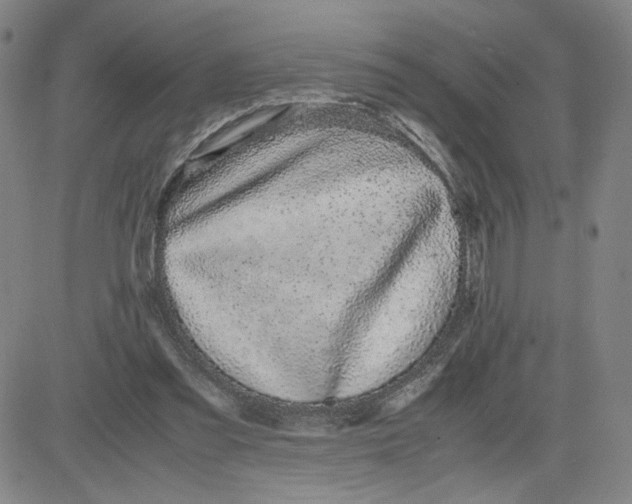 X0000080710301200701051016