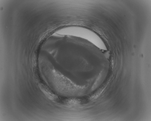 X0000080710303200701051016