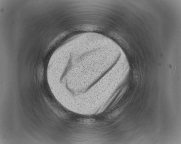 X0000080710304200701051016