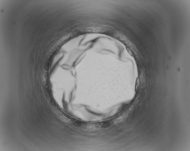 X0000080710305200701051016