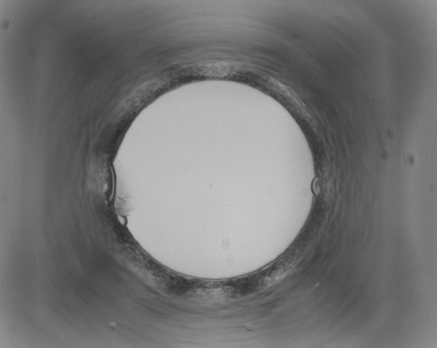 X0000080710307200701051016