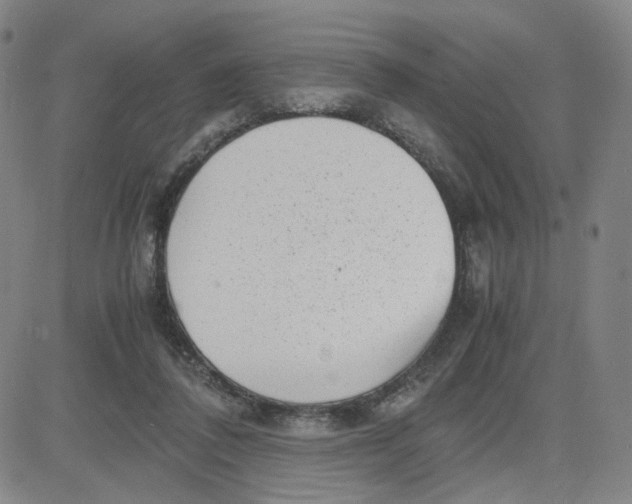 X0000080710308200701051016