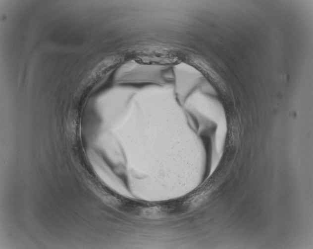 X0000080710309200701051016