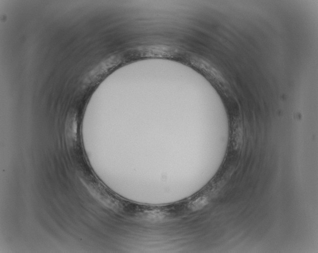 X0000080710310200701051016