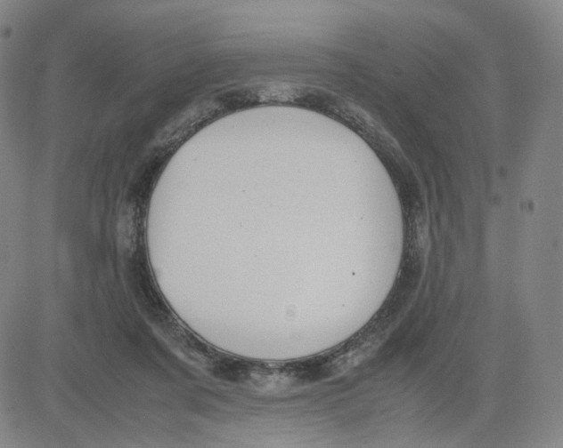 X0000080710311200701051016