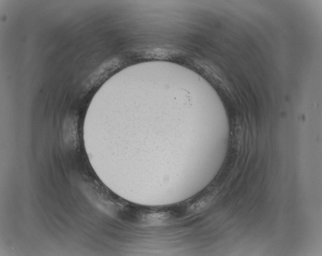 X0000080710312200701051016