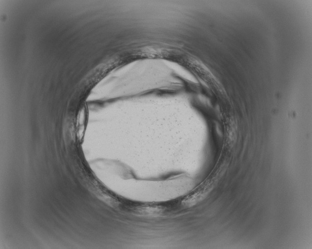 X0000080710313200701051016