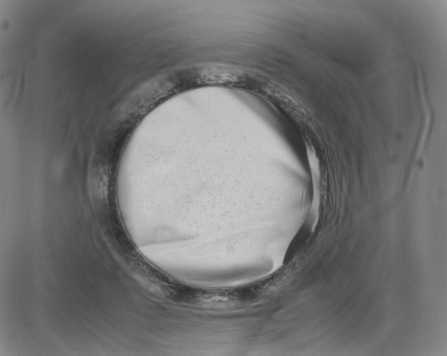 X0000080710315200701051016