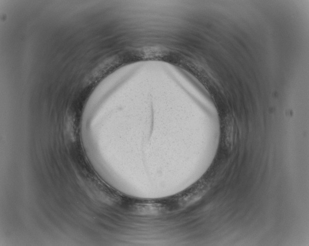 X0000080710316200701051016