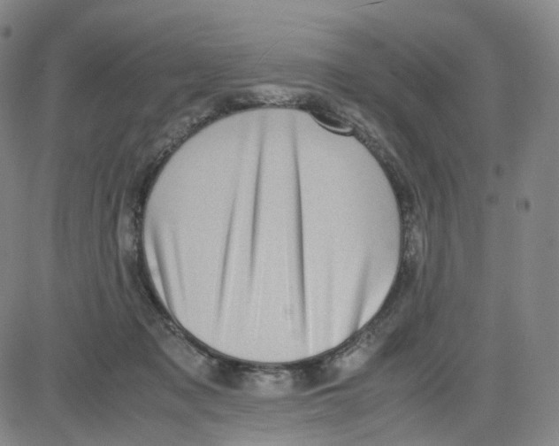 X0000080710317200701051016