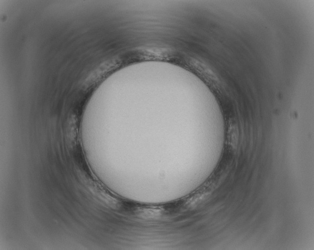 X0000080710318200701051016