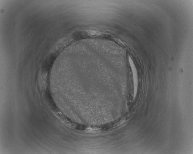 X0000080710319200701051016