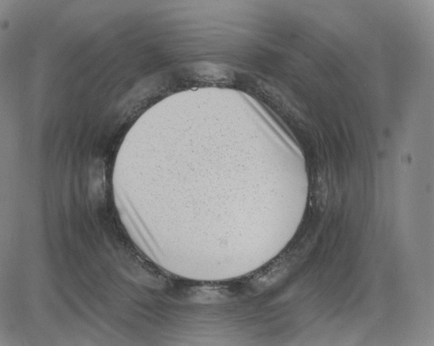 X0000080710320200701051016