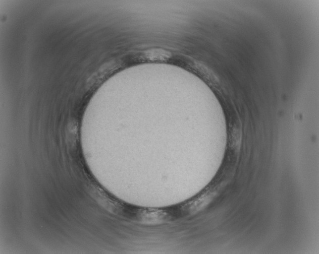 X0000080710321200701051016