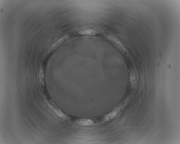 X0000080710322200701051016