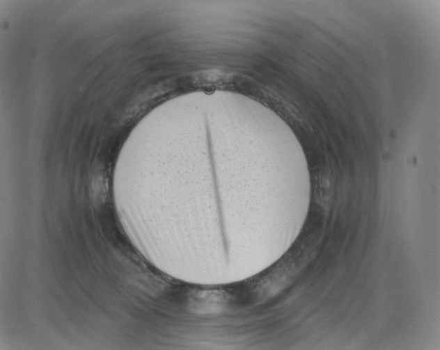 X0000080710324200701051016