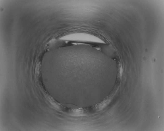 X0000080710325200701051016