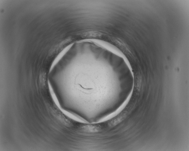 X0000080710326200701051016