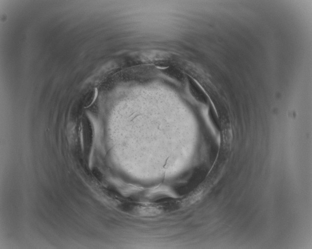 X0000080710327200701051016