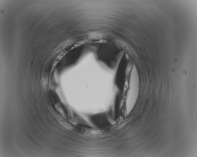 X0000080710329200701051016