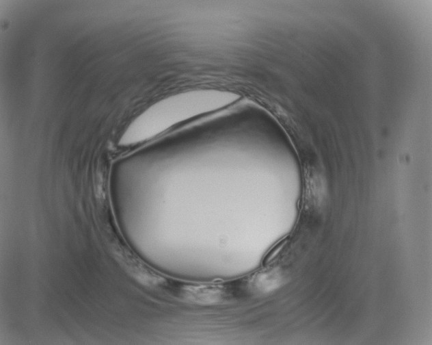 X0000080710331200701051015