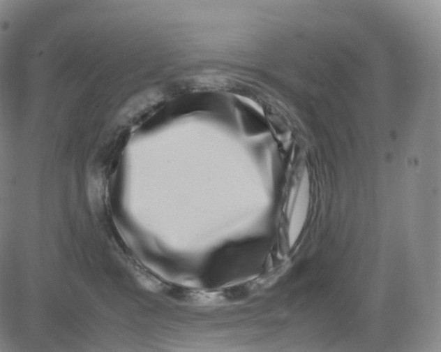 X0000080710333200701051015