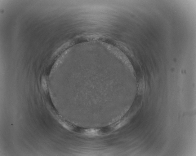 X0000080710335200701051015