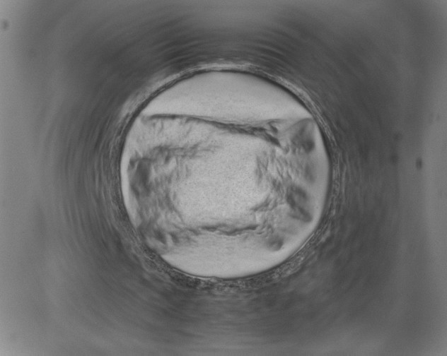 X0000080710337200701051015