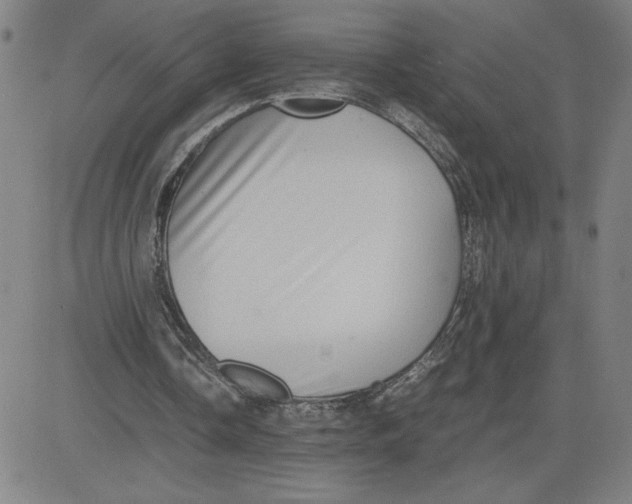 X0000080710338200701051015