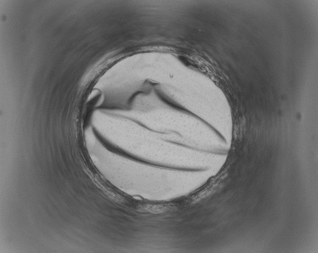 X0000080710341200701051015