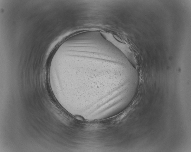 X0000080710342200701051015