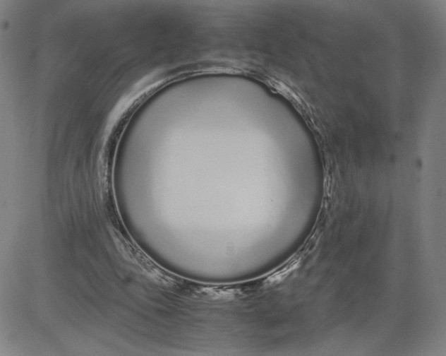 X0000080710343200701051015