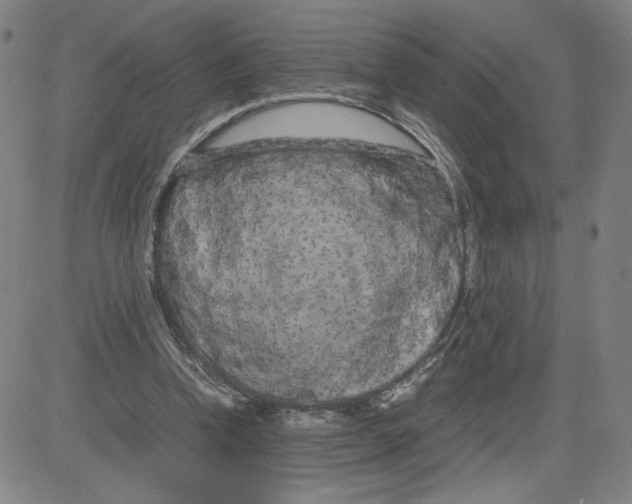 X0000080710346200701051015