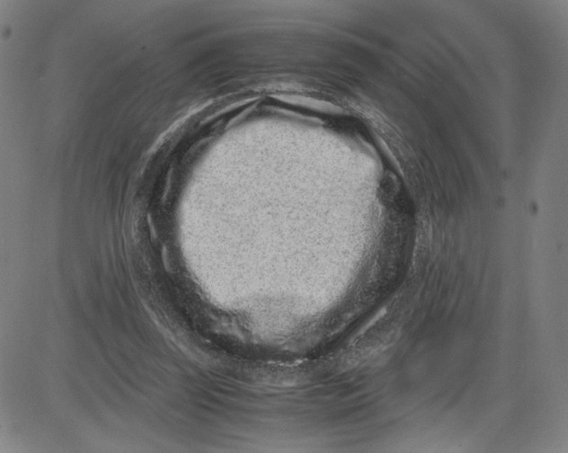 X0000080710347200701051015