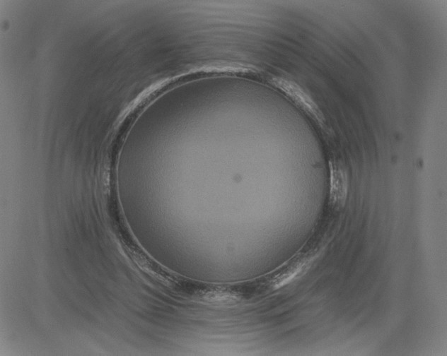 X0000080710348200701051015