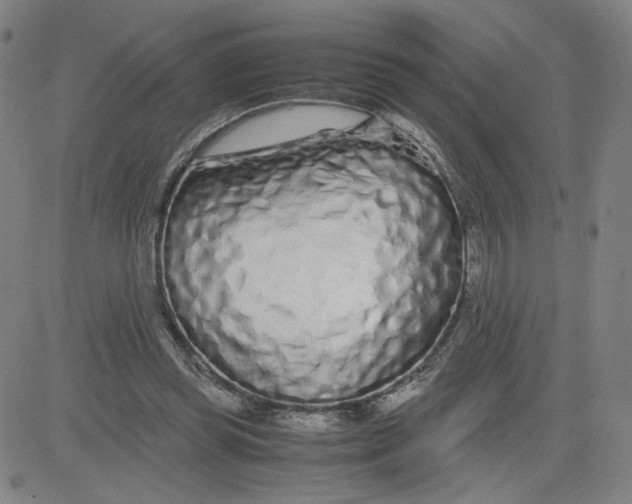 X0000080710349200701051015